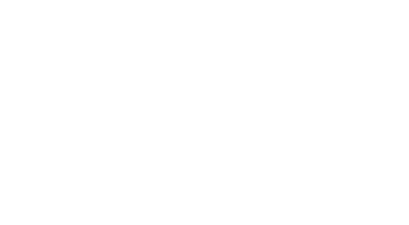 Black Cherry Studios Woman Logo